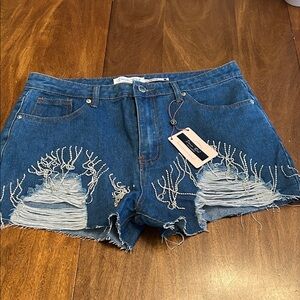 Fashion Nova Blue Distressed Jean Shorts
